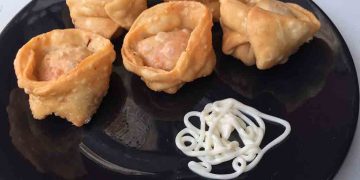 Chicken Wontons
